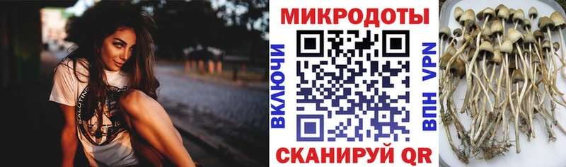 Галлюциногенные грибы GOLDEN TEACHER Балабаново
