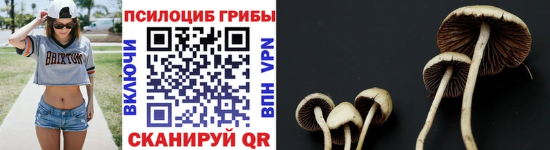 Псилоцибиновые грибы Magic Shrooms  мега ССЫЛКА  Балабаново 