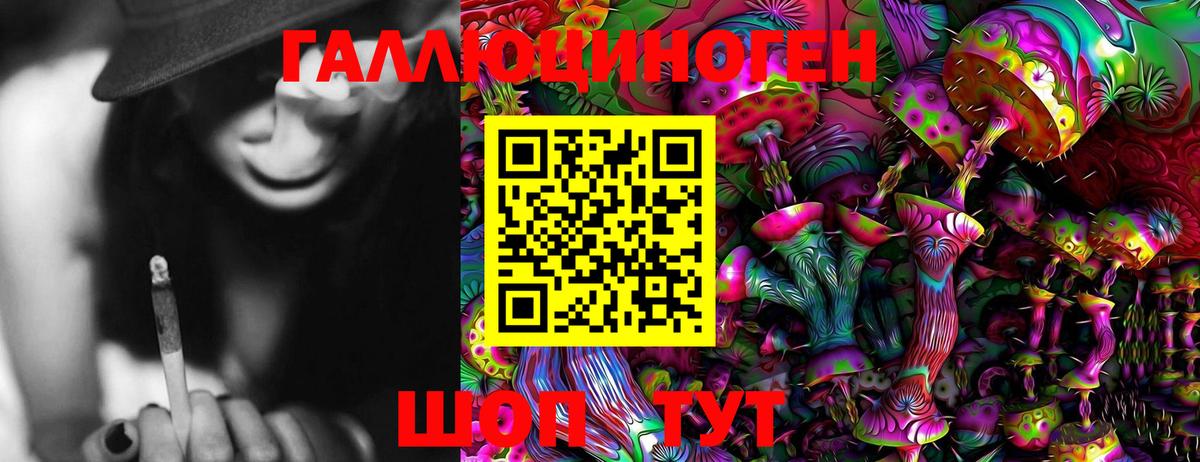 Псилоцибиновые грибы Cubensis  Вход с VPN  Балабаново 