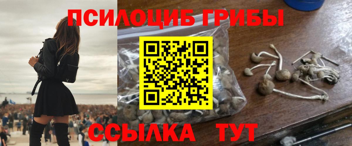 Галлюциногенные грибы GOLDEN TEACHER Балабаново